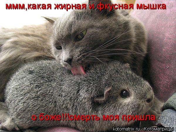 4743317_Pw (600x450, 89Kb)