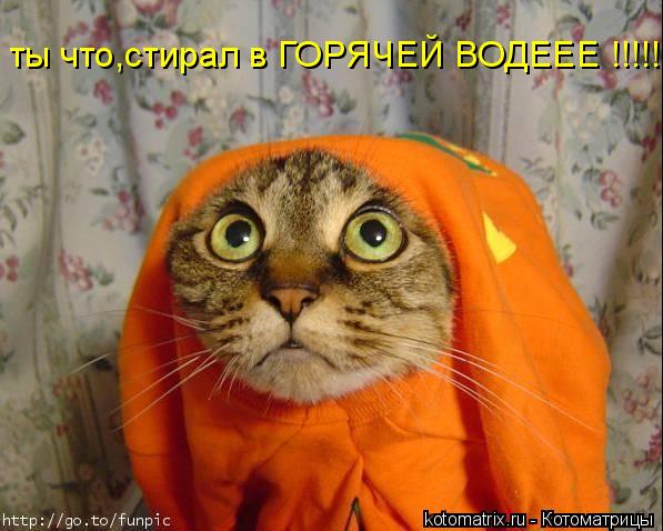 4743317__1 (597x478, 48Kb)