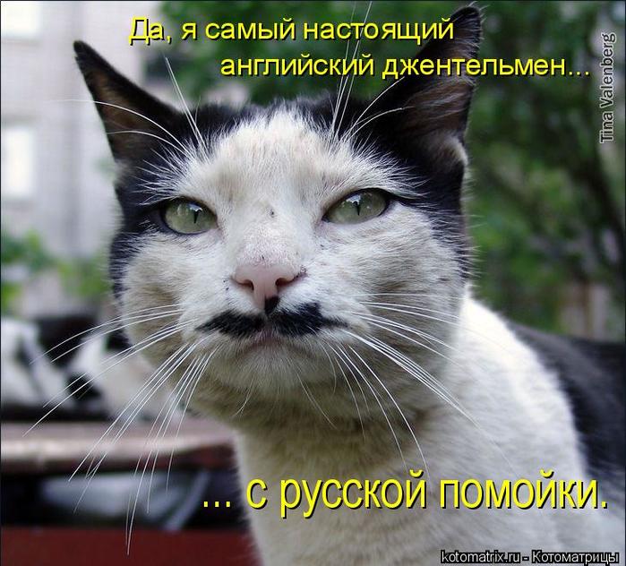 4743317_pt (700x632, 77Kb)