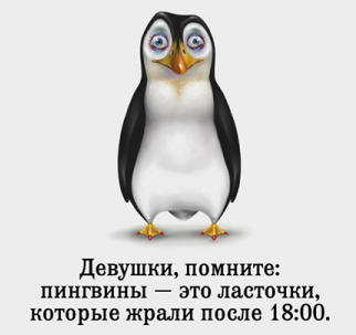  -jpg (322x303, 48Kb)