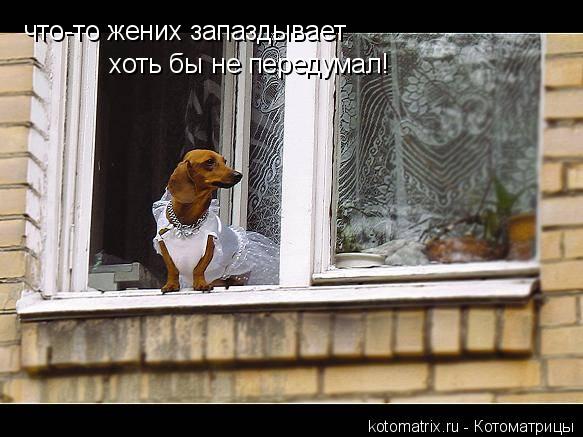 4743317_4 (583x437, 49Kb)