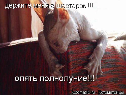 4743317_7E (500x375, 32Kb)