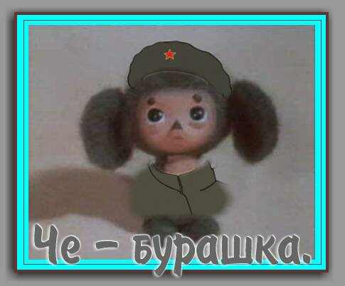 4743317_che_burashka (485x402, 16Kb)