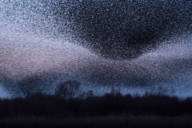 3109898_Apokalips (640x427, 112Kb)