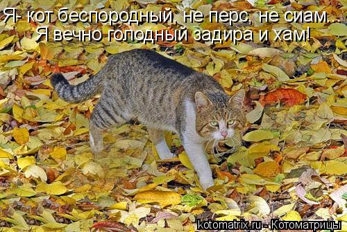4743317_Ea (500x334, 61Kb)