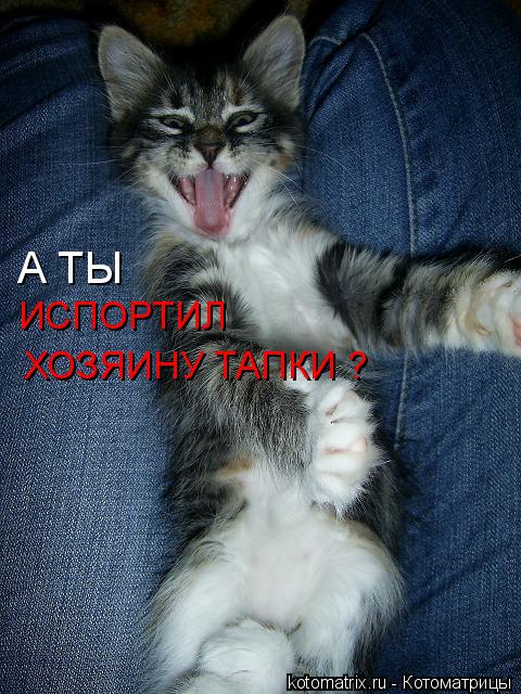 4743317_Y7_1_ (480x640, 81Kb)