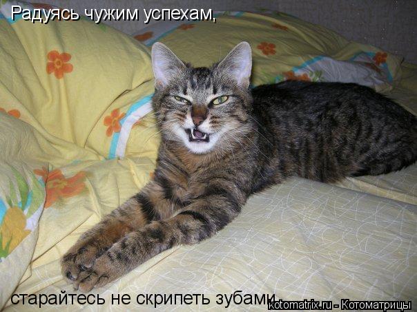 4743317_Q (604x453, 57Kb)