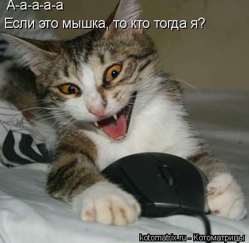 4743317_Uy (490x480, 29Kb)