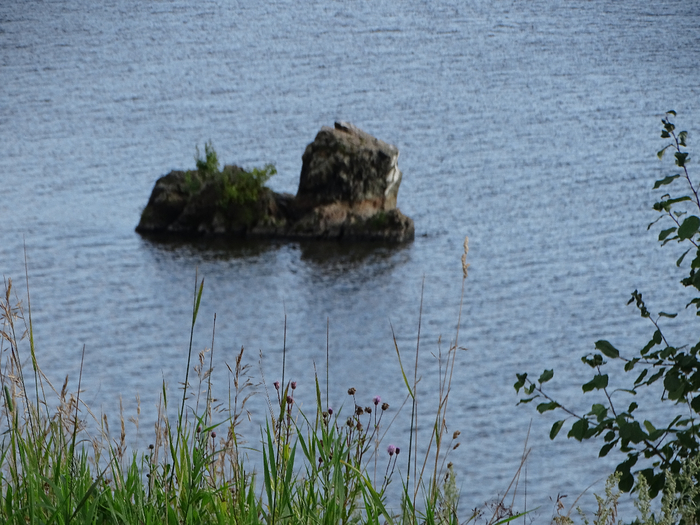 DSC00097 (700x525, 434Kb)