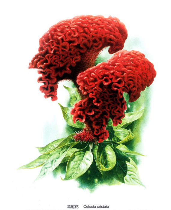 1350085821-0065701-www.nevsepic.com.ua (570x700, 345Kb)