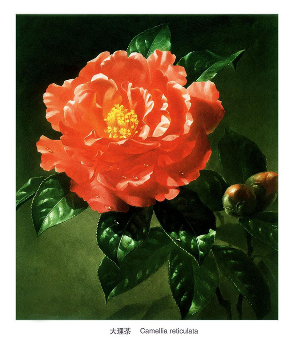 1350085828-0065713-www.nevsepic.com.ua (603x700, 405Kb)