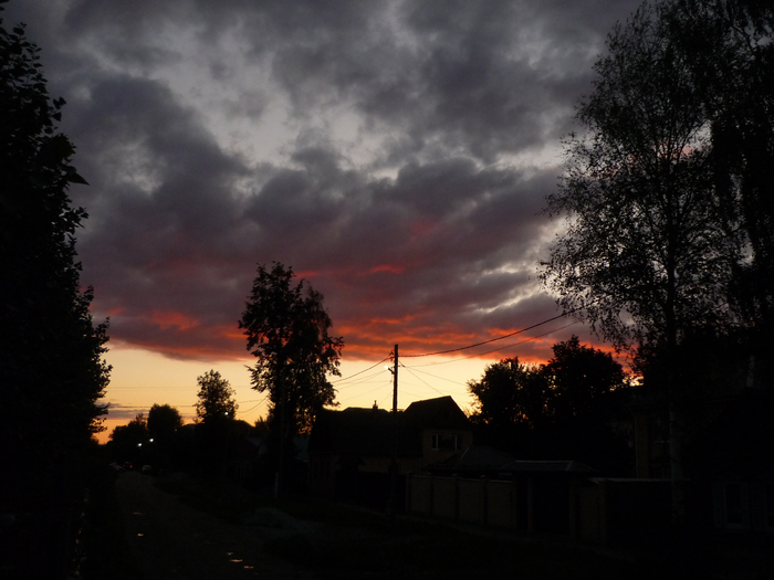 P1290942 (700x525, 293Kb)
