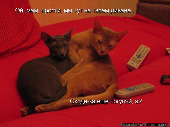 4743317_wg (700x524, 36Kb)