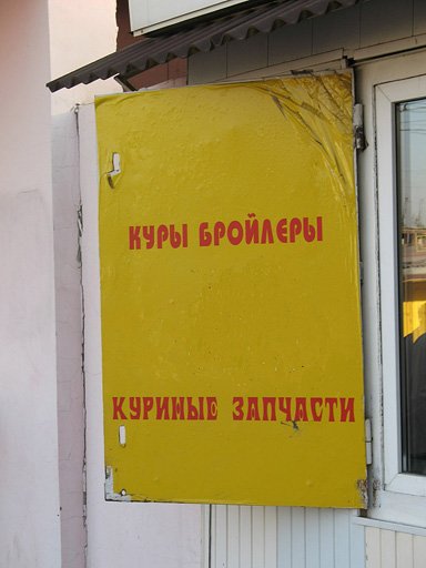 4752699_kyr16 (384x512, 32Kb)