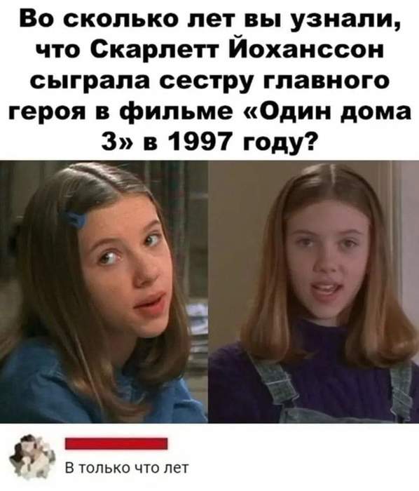 FB_IMG_1635960158829 (598x700, 40Kb)