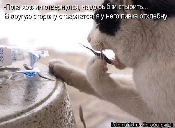4743317_eP (593x436, 39Kb)