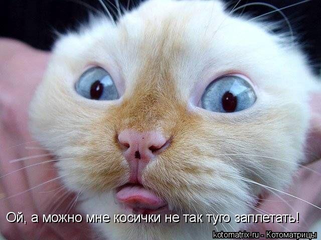 4743317_Fi (640x480, 53Kb)