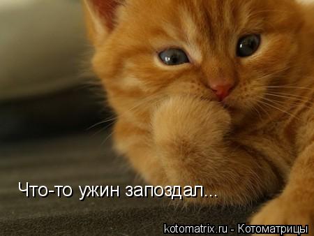 4743317_sx (450x338, 21Kb)