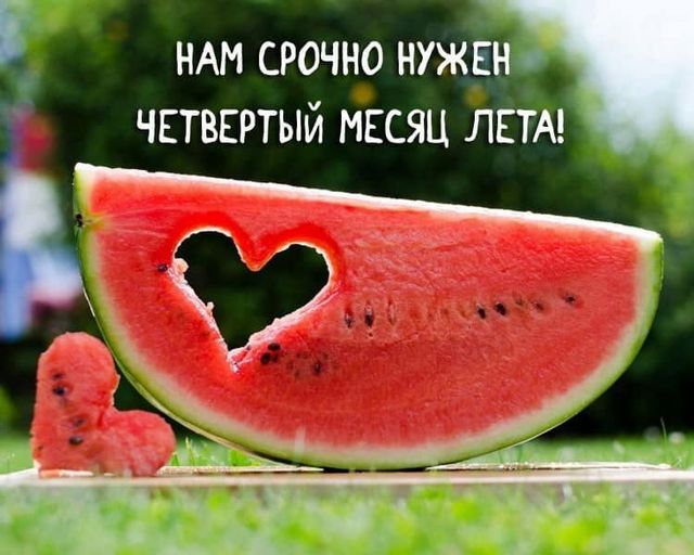 233122607_3019440381603769_2209408027194393357_n (640x512, 52Kb)