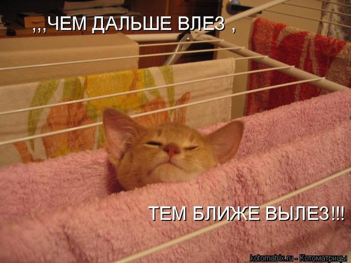 4743317_Pp (700x524, 54Kb)