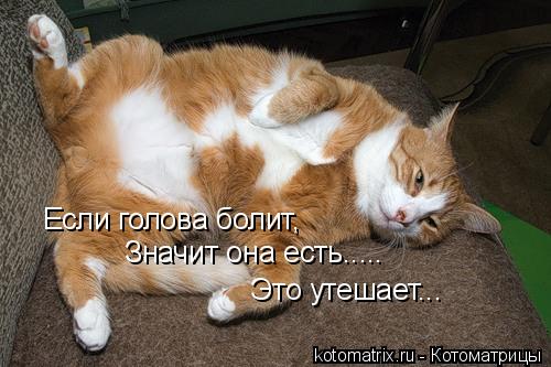 4743317_g (500x333, 37Kb)