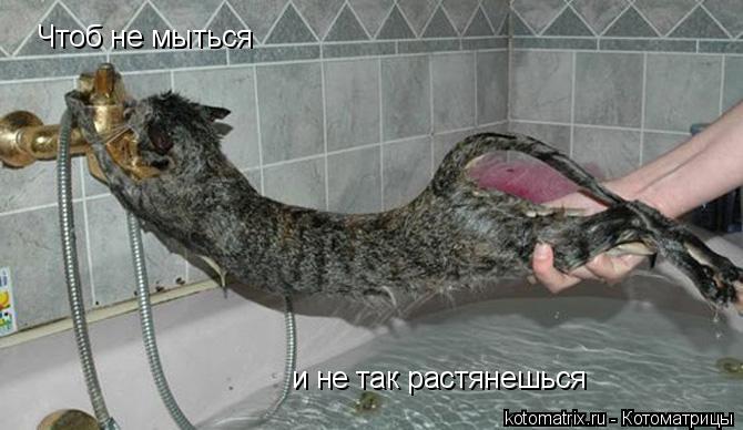4743317_b (670x388, 46Kb)