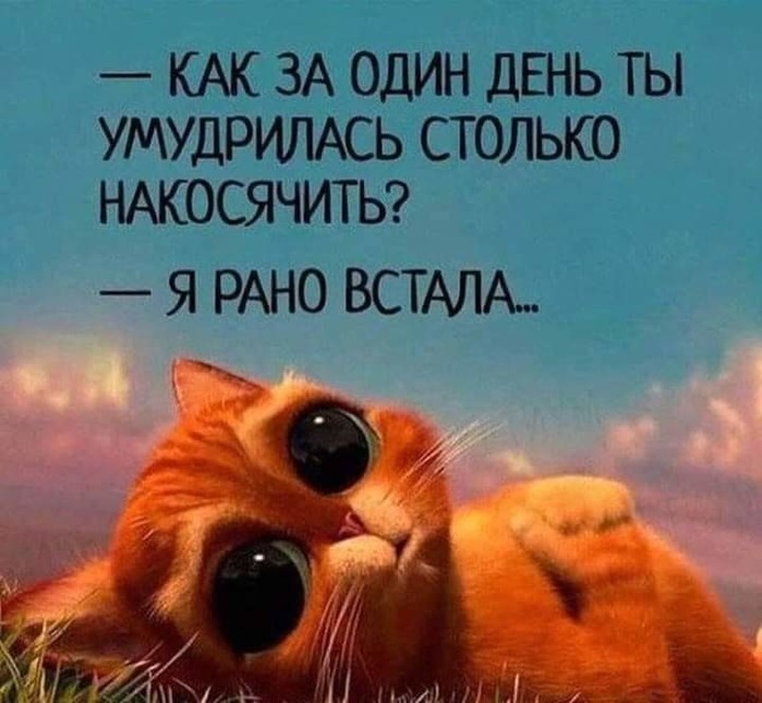 4743317_image20190715 (700x645, 84Kb)