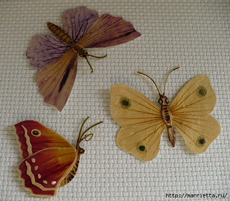 Бабочки - аппликация из засушенных растений