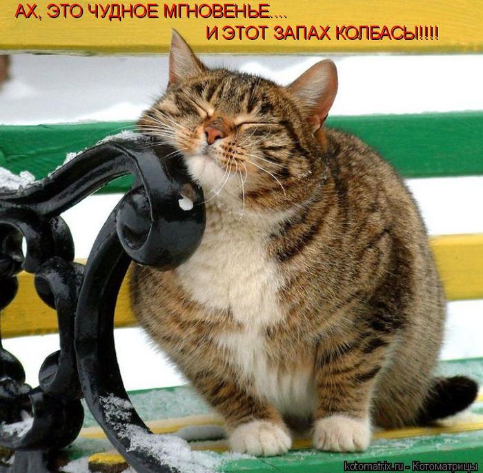 4743317_mX (700x686, 87Kb)