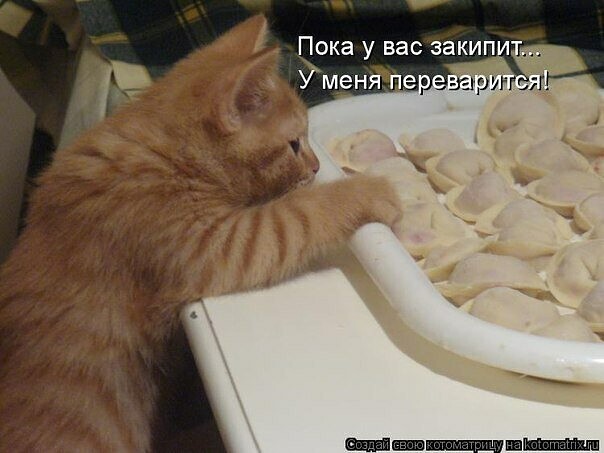 4743317_i_jpgek (604x453, 52Kb)