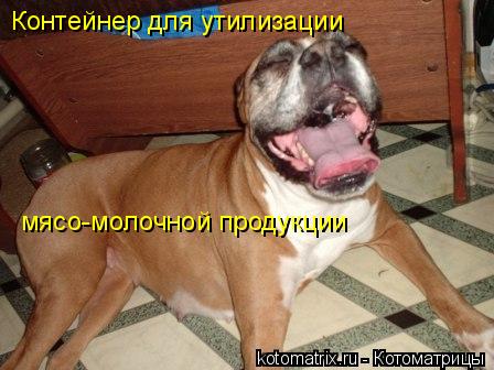 4743317_54 (448x336, 33Kb)