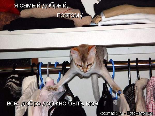 4743317_l_ (600x450, 48Kb)