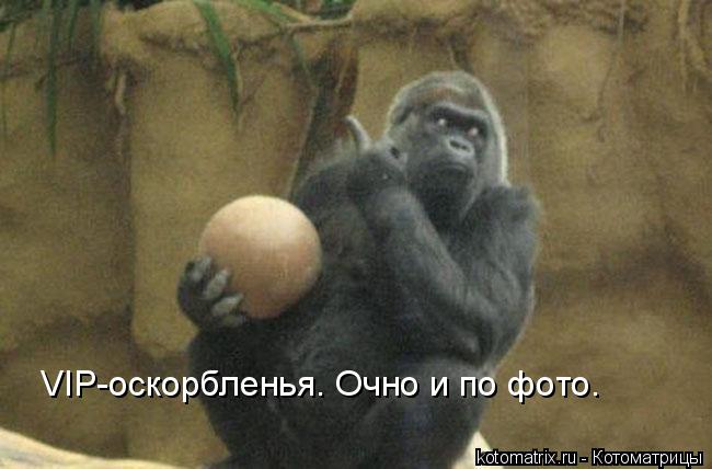 4743317_f (650x428, 38Kb)