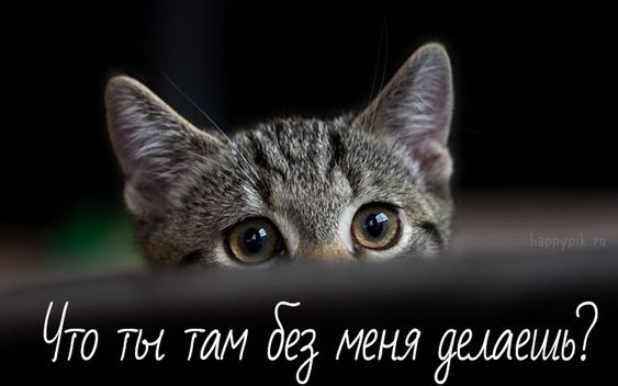 3416556_739227cbec22dc926de008ccd9f6c525 (563x352, 24Kb)