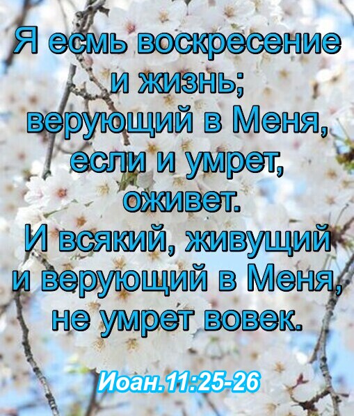 Воскресение жизни. Я есть Воскресение и жизнь. Дневник с воскресеньем. Я есть Воскресение и жизнь верующий в меня.