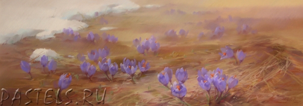 2471598_krokysiolgaabramova (600x210, 95Kb)