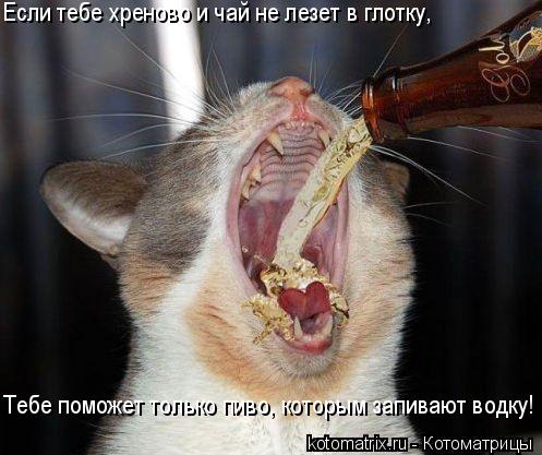 4743317_a4 (497x417, 41Kb)