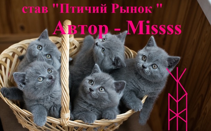 5850402_look_com_ua288506 (700x437, 112Kb)
