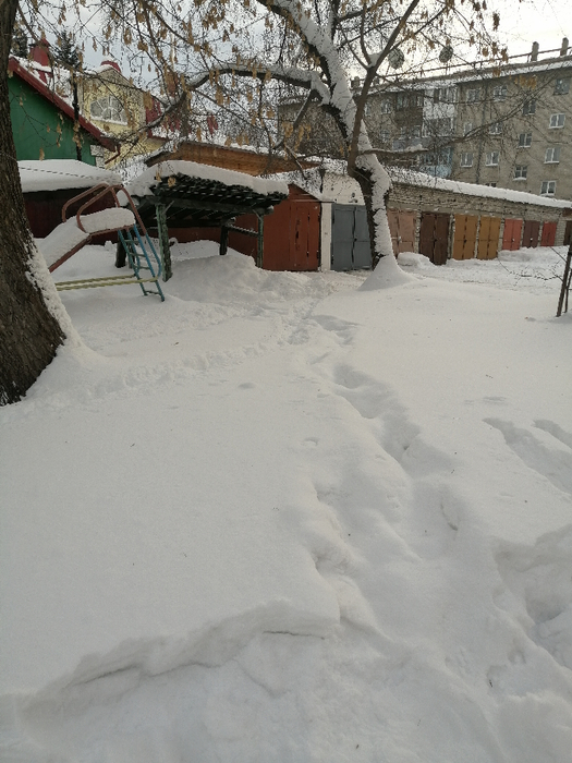 IMG_20210116_170017 (525x700, 382Kb)