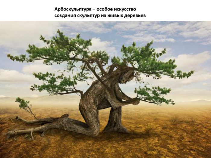 создания скD1�льптур из ÐB6ивых_page-0002 (700x525, 331Kb)