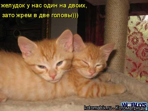 4743317_ab (500x375, 29Kb)