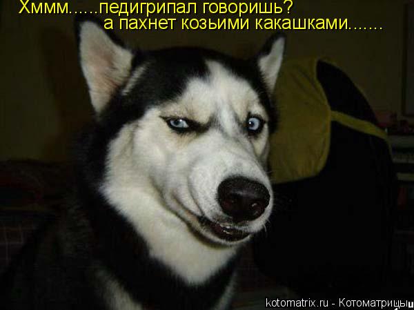 4743317_L7 (600x449, 29Kb)