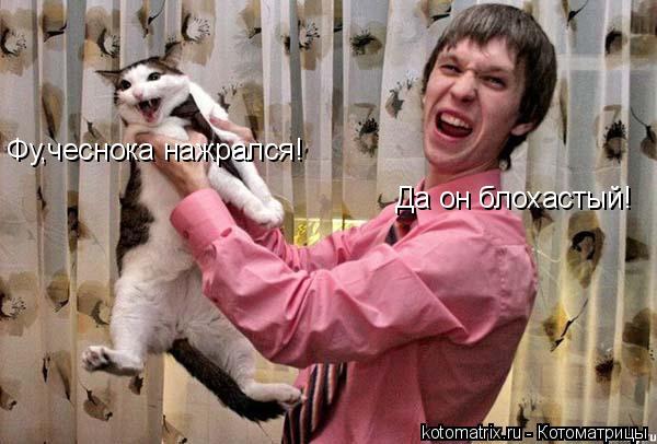 4743317_fB (600x406, 46Kb)