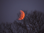  DSCN9465 (700x525, 421Kb)