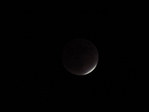 DSCN9643 (700x525, 99Kb)