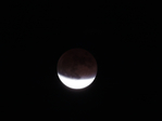  DSCN9692 (700x525, 131Kb)
