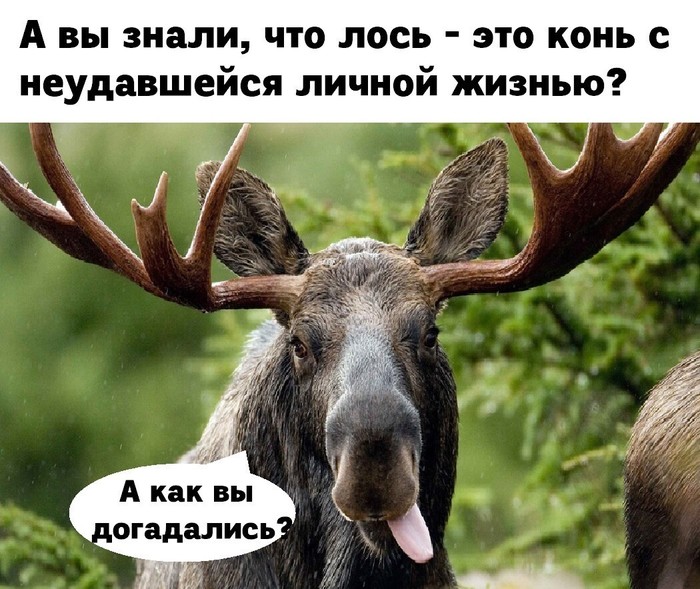 5402287_102605ff6ab50cb85206f94053865d02 (700x589, 124Kb)