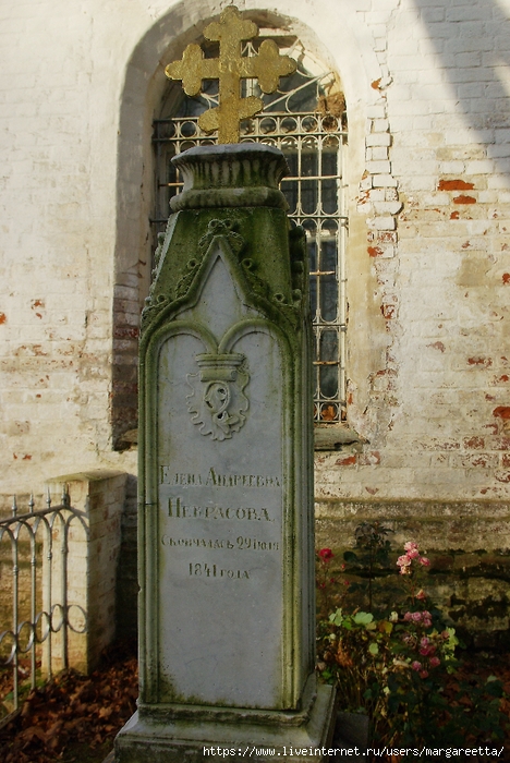 IMGP7581 (468x700, 316Kb)