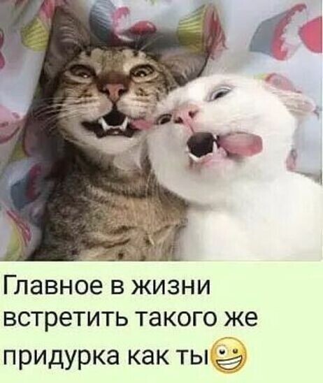 5402287_c282f255becc4561fda9d76a90a53af6 (462x548, 45Kb)