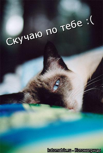 4743317_S1 (400x595, 30Kb)